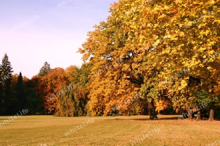 Herbst im Neuen Garten