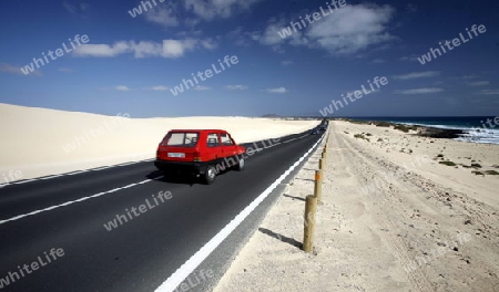 the Sanddunes of Corralejo in the north of the Island Fuerteventura on the Canary island of Spain in the Atlantic Ocean.