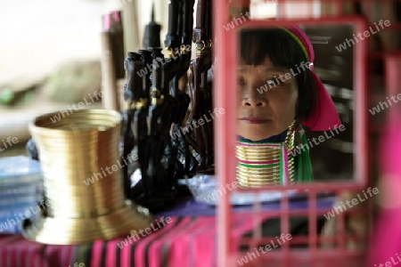 Eine Traditionell gekleidete Langhals Frau eines Paudang Stammes aus Burma lebt in einem Dorf noerdlich von Chiang Mai in Nord Thailand.