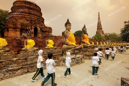 Der Wat Yai Chai Tempel in der Tempelstadt Ayutthaya noerdlich von Bangkok in Thailand