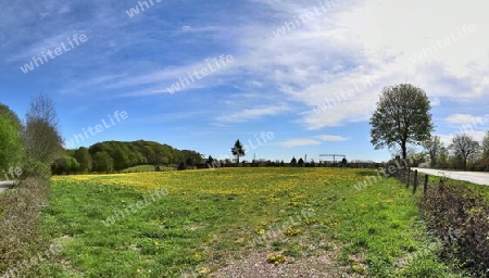 Beautiful high resolution panorama of a northern european country landscape with fields and green grass.