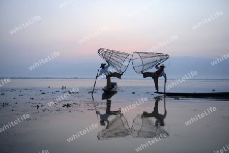 Fishermen at sunrise in the Landscape on the Inle Lake in the Shan State in the east of Myanmar in Southeastasia.