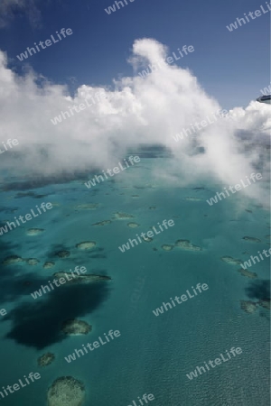Suedamerika, Karibik, Venezuela, Los Roques,  Ein Luftbild auf eine Insel  der Inselgruppe von Los Roques in der Karibik.   