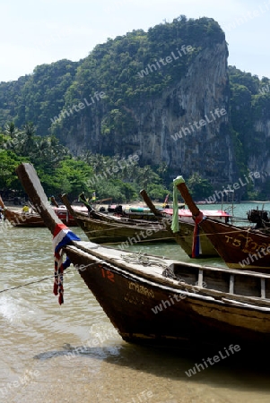 The Hat Tom Sai Beach at Railay near Ao Nang outside of the City of Krabi on the Andaman Sea in the south of Thailand. 