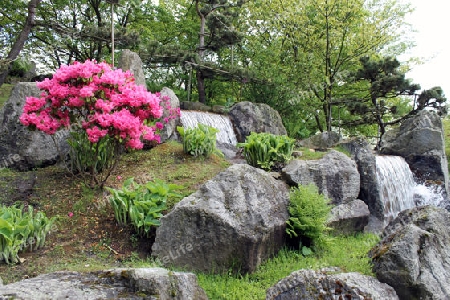 Wasserfall im Japanischen Garten von Hasselt, Belgien