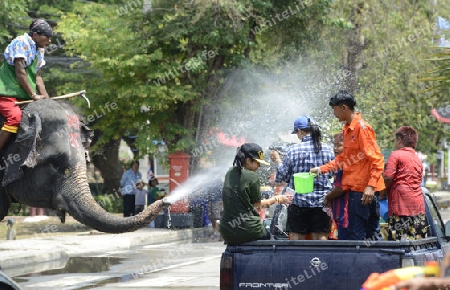 Das Songkran Fest oder Wasserfest zum Thailaendischen Neujahr ist im vollem Gange in Ayutthaya noerdlich von Bangkok in Thailand in Suedostasien.  