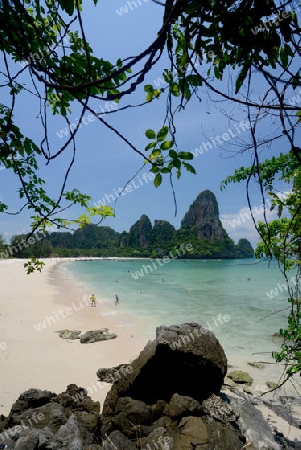 The Hat Railay Leh Beach at Railay near Ao Nang outside of the City of Krabi on the Andaman Sea in the south of Thailand. 