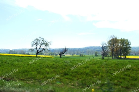 gr?n-gelbe Landschaft