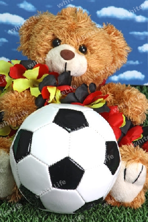 Teddyb?r mit Fussball mit Himmel als Hintergrund