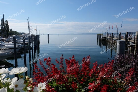 Bodensee