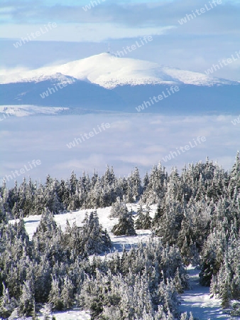 Berg im Winter