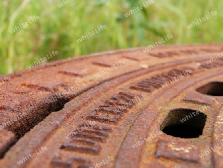 Old, rusty manhole cover in the middle of the green nature - Alter, rostiger Gullideckel mitten in der gr?nen Natur