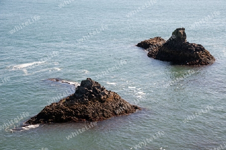 Der Westen Islands, die Klippen der Steilk?ste von Arnastapi auf der S?dseite der Halbinsel Sn?fellsnes