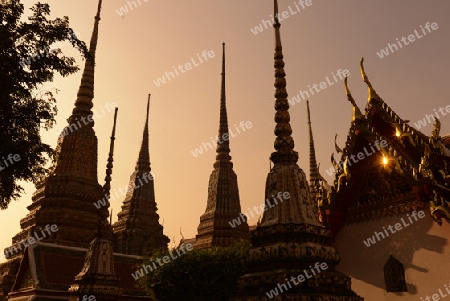 Die Tempelanlage des Wat Pho in der Hauptstadt Bangkok von Thailand in Suedostasien.