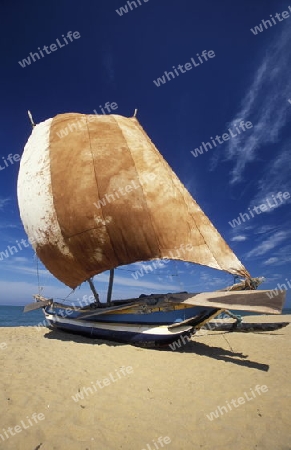 Asien, Indischer Ozean, Sri Lanka,
Ein traditionelles Fischerboot mit Fischern im Kuestendorf Negombo an der Westkueste von Sri Lanka. (URS FLUEELER)






