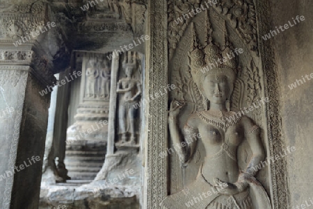 The Angkor Wat in the Temple City of Angkor near the City of Siem Riep in the west of Cambodia.