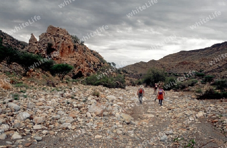 Koecherbaumschlucht, Namibia