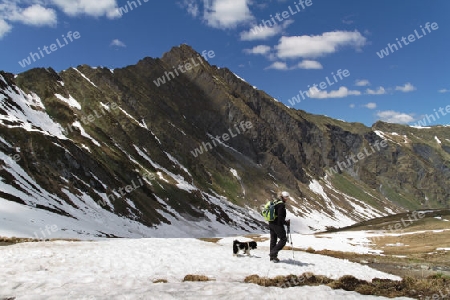 Wildental, Tuxertal, Oesterreich