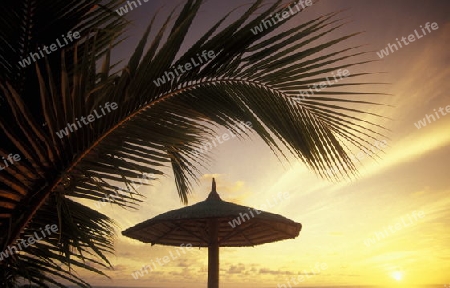 
Der Strand im Abendlicht auf der Insel Helengeli im Northmale  Atoll auf den Inseln der Malediven im Indischen Ozean.   