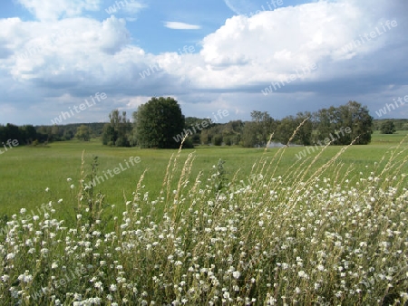 Sommerlandschaft