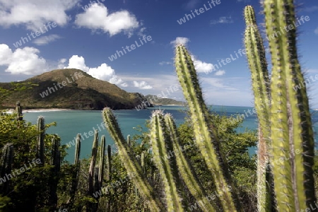 Suedamerika, Karibik, Venezuela, Isla Margarita, Pedro Gonzalez, Playa Pedro Gonzalez, Beach, Strand, Bucht, Fischerdorf, Ferien, Traumstrand, Idylle, Landschaft, Sicht vom Leuchtturm, Kaktus, Natur