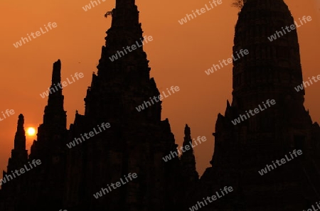 Der Wat Chai Wattanaram Tempel in der Tempelstadt Ayutthaya noerdlich von Bangkok in Thailand. 