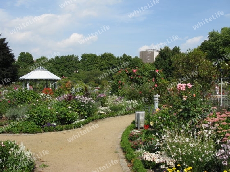 Hamburg,Sommer in Planten un Blomen