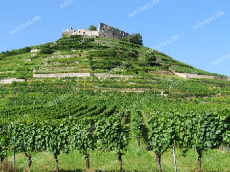 Burgruine Staufen im Breisgau