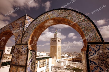 Afrika, Tunesien, Tunis, Altstadt, Medina, Souq, Moschee, 
