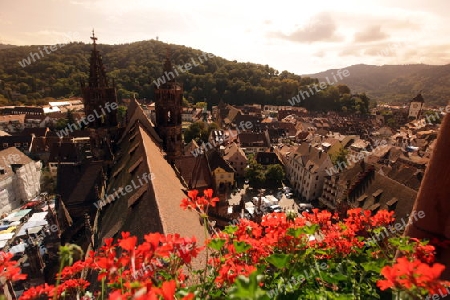 the old town of Freiburg im Breisgau in the Blackforest in the south of Germany in Europe.