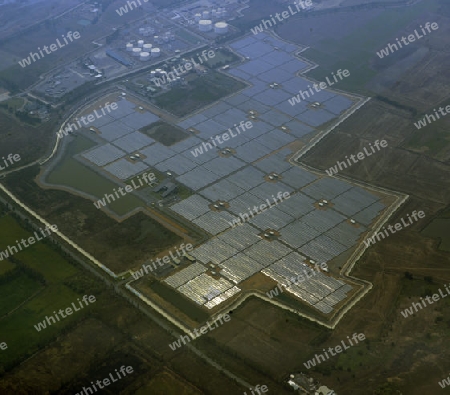 Die Landwirtschaft am rande der Stadt Bangkok in Thailand in Suedostasien.