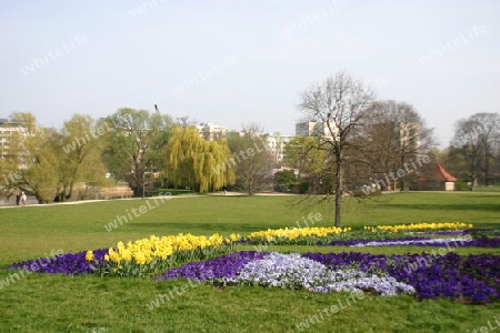 Hier wird es im Frühling bunt