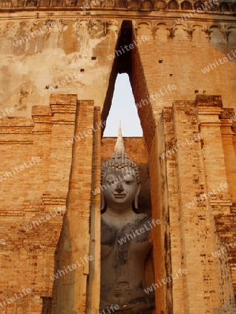 Buddha hinter Mauern