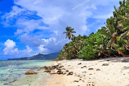 Sunny day beach view on the paradise islands Seychelles.