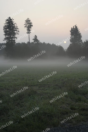 morgenromantik