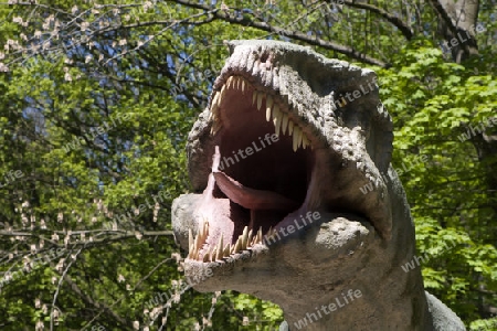 Tarbosaurus - Zoo Bratislava