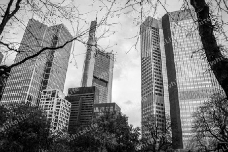 Skyscrapers Frankfurt