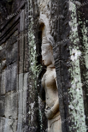 The Temple of  Banteay Kdei in the Temple City of Angkor near the City of Siem Riep in the west of Cambodia.