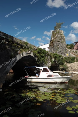 Die Landschaft mit dem Ufer des Skadar See oder Skadarsko Jezero in Virpazar in Montenegro in Europa.   