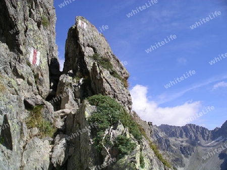 Chlempen beim Triftgletscher