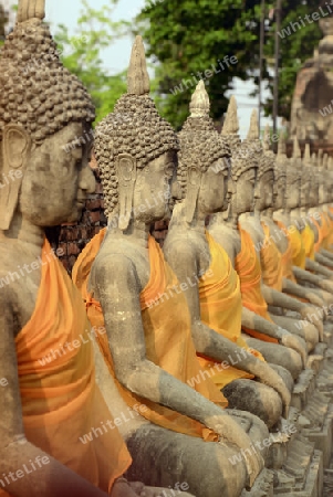 The Wat Yai Chai Mongkol Temple in City of Ayutthaya in the north of Bangkok in Thailand, Southeastasia.