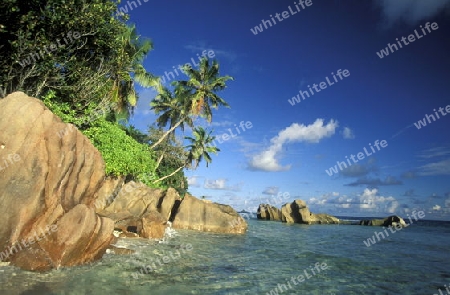 Ein Traumstrand auf der Insel La Digue der Inselgruppe Seychellen im Indischen Ozean in Afrika.