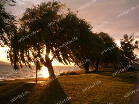 Abendstimmung am Bodensee