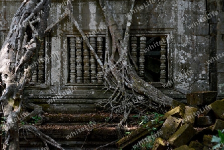 The Tempel Ruin of  Beng Mealea 32 Km north of in the Temple City of Angkor near the City of Siem Riep in the west of Cambodia.