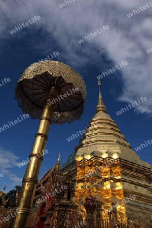 Der Chedi der Tempel Anlage des Wat Phra That Doi Suthep bei Chiang Mai in der Provinz Chiang Mai im Norden von Thailand in Suedostasien.