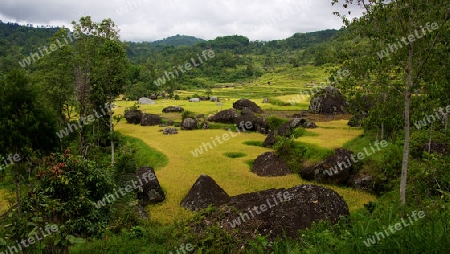 Rantepau, Sulawesi