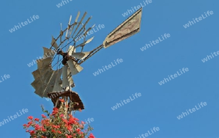 Windspiel