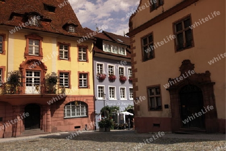  the village of Endingen im Kaiserstuhl in the Blackforest in the south of Germany in Europe.