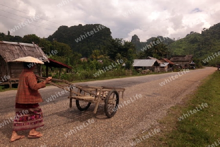 Eine Frau in der Bergregion beim Dorf Kasi an der Nationalstrasse 13 zwischen Vang Vieng und Luang Prabang in Zentrallaos von Laos in Suedostasien.