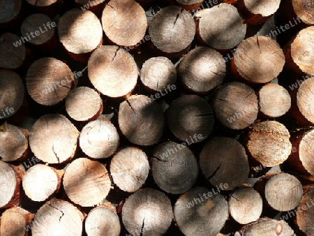 Holzstapel